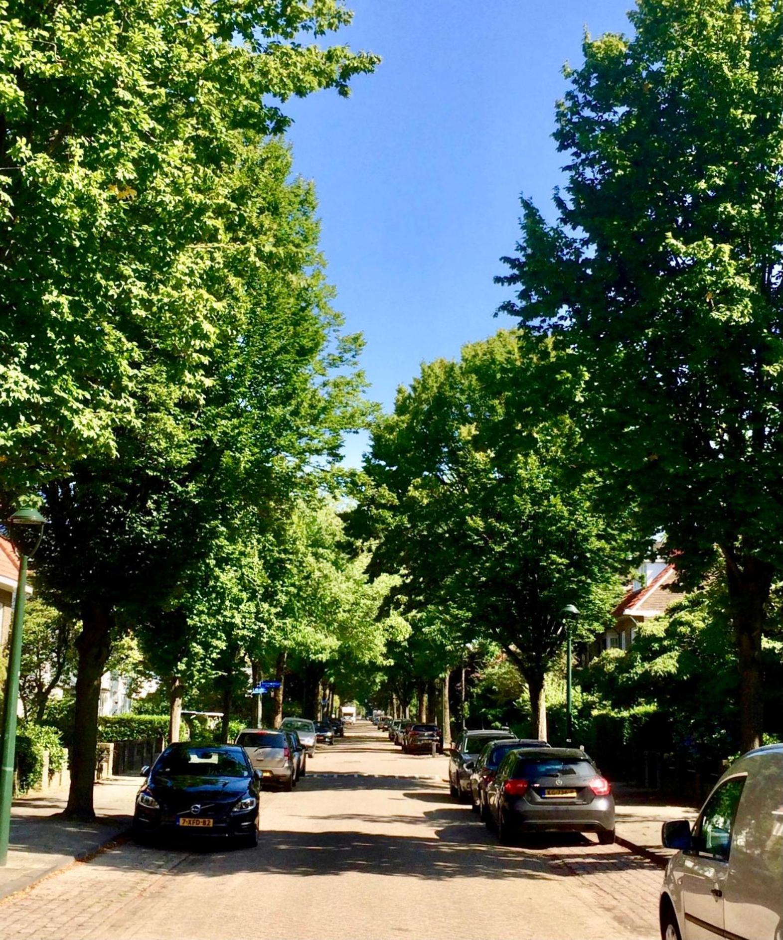 Eikenburg B&B Ейндховен Екстериор снимка